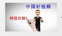 幽默爆料视频素材下载网站,笑料横生！揭秘热门幽默爆料视频网站下载攻略